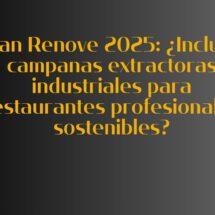 Plan Renove 2025: ¿Incluye campanas extractoras industriales para restaurantes profesionales sostenibles?