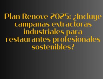 Plan Renove 2025: ¿Incluye campanas extractoras industriales para restaurantes profesionales sostenibles?