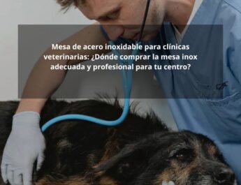 Mesa de acero inoxidable para clínicas veterinarias: ¿Dónde comprar la mesa inox adecuada y profesional para tu centro?