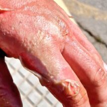 Incendio de una sartén con aceite en Tomares: La importancia de conocer cómo actuar ante un fuego en la cocina