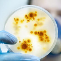 La amenaza creciente de las superbacterias: una crisis sanitaria global que ya afecta a todos