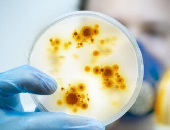 La amenaza creciente de las superbacterias: una crisis sanitaria global que ya afecta a todos