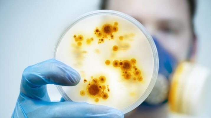 La amenaza creciente de las superbacterias: una crisis sanitaria global que ya afecta a todos